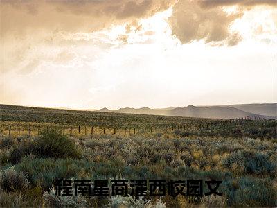 程南星商濯西是哪部小说的主角-（程南星商濯西）全文无弹窗完整版阅读