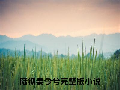 陆彻姜今兮抖音新上免费热文 陆彻姜今兮完结免费阅读无弹窗