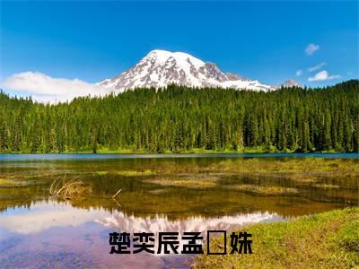 楚奕辰孟珺姝（楚奕辰孟珺姝）全文免费阅读无弹窗大结局_ (楚奕辰孟珺姝小说免费阅读)最新章节列表_笔趣阁