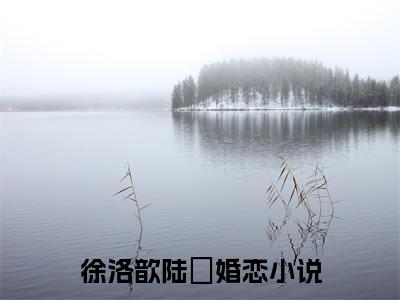 徐洛歆陆沨（徐洛歆陆沨）全文免费阅读无弹窗大结局_(徐洛歆陆沨)徐洛歆陆沨全文免费阅读无弹窗最新章节列表_笔趣阁（徐洛歆陆沨）