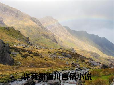 许菀谢谨川小说（许菀谢谨川最新全章节大结局）许菀谢谨川全文阅读