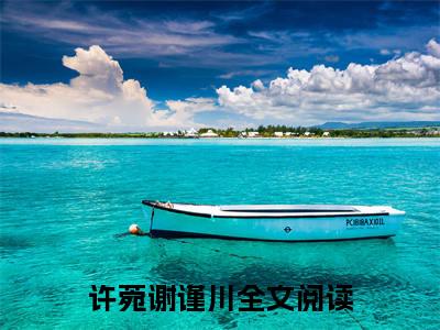 许菀谢谨川小说全文免费阅读（许菀谢谨川）全文免费阅读无弹窗_许菀谢谨川小说全文免费阅读_笔趣阁（许菀谢谨川）