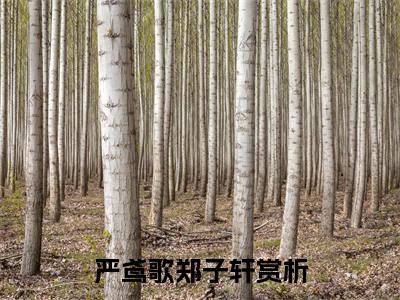 严鸢歌郑子轩（严鸢歌郑子轩）全文免费阅读无弹窗_严鸢歌郑子轩最新小说_笔趣阁（严鸢歌郑子轩）