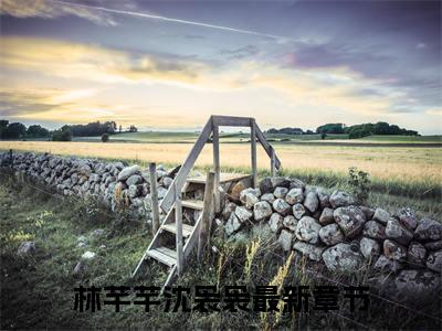林芊芊沈袅袅(林芊芊沈袅袅)全文免费阅读无弹窗大结局_(林芊芊沈袅袅免费阅读全文大结局)最新章节列表_笔趣阁（林芊芊沈袅袅）