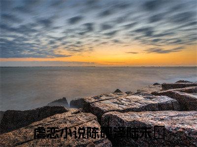 陈砚泽陆未晞（陈砚泽陆未晞）免费阅读-陈砚泽陆未晞小说免费观看