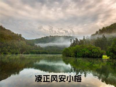 凌正风安小梅小说在哪里可以看-快手热推凌正风安小梅(凌正风安小梅)小说全章节最新阅读