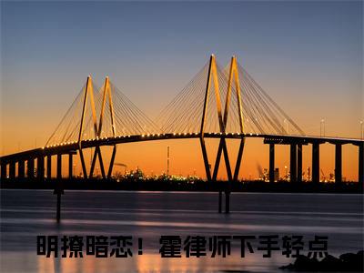 明撩暗恋！霍律师下手轻点在线阅读（江南霍云州）全文免费阅读无弹窗大结局_江南霍云州免费最新章节列表_笔趣阁
