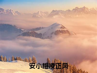 《安小梅凌正风》最新章节_安小梅凌正风全文阅读