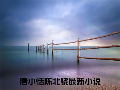 唐小恬陈北骁小说全文免费阅读无弹窗大结局-唐小恬陈北骁 小说在哪里可以看唐小恬陈北骁
