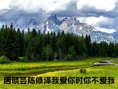 我爱你时你不爱我(唐晓芸陈修泽)全文免费阅读大结局_(我爱你时你不爱我)唐晓芸陈修泽无弹窗最新章节列表_笔趣阁(我爱你时你不爱我)