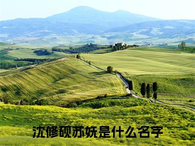 沈修砚苏妩小说免费阅读完整版全文大结局