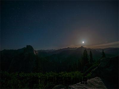 星珺傅殇骁小说免费阅读(星珺傅殇骁)全文免费阅读无弹窗大结局_ 星珺傅殇骁最新章节列表_笔趣阁（星珺傅殇骁小说）