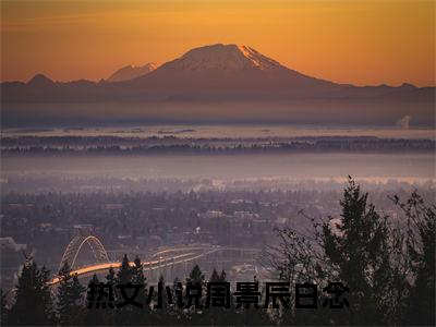 主角为周景辰白念的小说叫什么-最新小说全文阅读