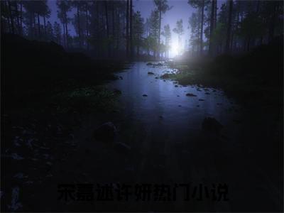 宋嘉述许妍小说全文阅读-（宋嘉述许妍）小说大结局