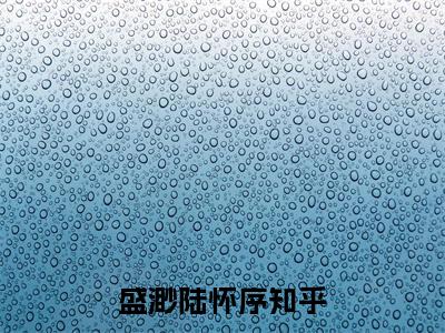 陆总，夫人说这婚迟早要离小说（盛渺陆怀序)全文免费阅读无弹窗大结局_陆总，夫人说这婚迟早要离完整版最新阅读_笔趣阁（盛渺陆怀序）
