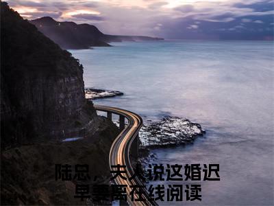 陆总，夫人说这婚迟早要离（盛渺陆怀序）全文免费阅读无弹窗大结局-盛渺陆怀序(陆总，夫人说这婚迟早要离)小说全文免费阅读最新章节列表