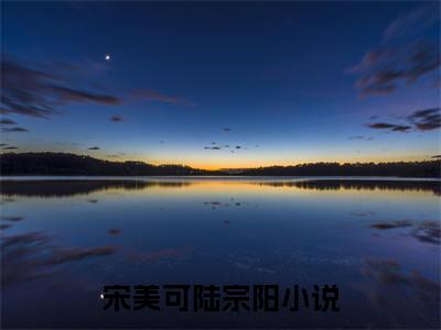 宋美可陆宗阳小说全文免费阅读无弹窗大结局-（宋美可陆宗阳免费阅读无弹窗）宋美可陆宗阳最新章节列表笔趣阁
