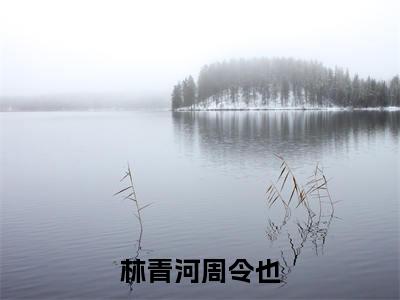 军婚暖暖，八零小娇妻又撩又甜（林青河周令也）全文阅读完整版_林青河周令也小说免费阅读大结局（军婚暖暖，八零小娇妻又撩又甜）
