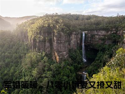 林青河周令也小说最后结局-军婚暖暖，八零小娇妻又撩又甜完结版免费阅读
