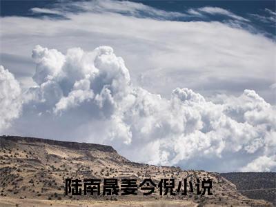 陆南晟姜今倪（陆南晟姜今倪）小说-陆南晟姜今倪小说免费阅读