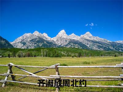 齐淑欣周北约小说（齐淑欣周北约）全文免费阅读无弹窗大结局_（齐淑欣周北约免费阅读）齐淑欣周北约最新章节列表_笔趣阁（齐淑欣周北约）