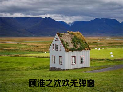 顾淮之沈欢(顾淮之沈欢)全文免费阅读无弹窗大结局_顾淮之沈欢最新章节列表