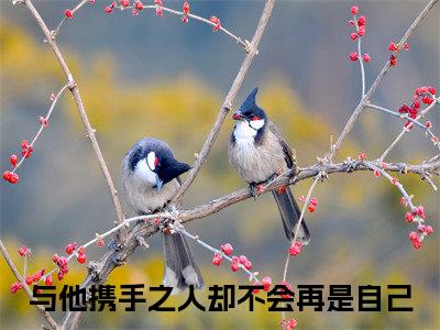 昭意谢栖野阅读无弹窗大结局_（与他携手之人却不会再是自己阅读无弹窗）最新章节列表_笔趣阁
