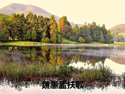 魏嵩孟扶歌（魏嵩孟扶歌）小说-魏嵩孟扶歌小说免费最新章节列表