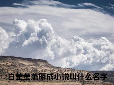 白莹莹萧明成是什么小说-启用生子系统后，她多子多福免费小说在线阅读