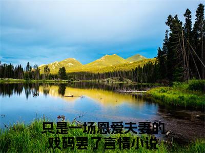 只是一场恩爱夫妻的戏码罢了小说在线阅读全文无弹窗_姜萝顾云琛小说最新全文完整无删减版