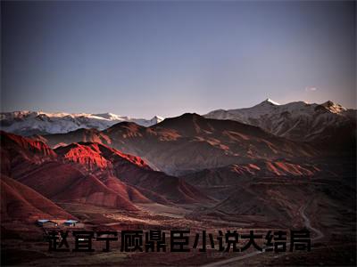 赵宜宁顾鼎臣小说无广告免费阅读无删减