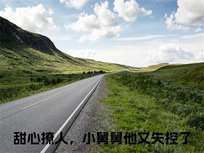 甜心撩人，小舅舅他又失控了是什么小说_主角是（陆湛骁顾薇薇）的小说（甜心撩人，小舅舅他又失控了）最新章节无弹窗阅读