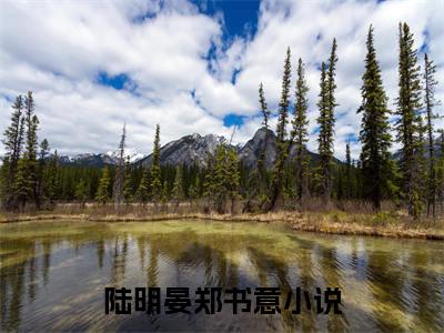 陆明晏郑书意（他与爱同尘）全文免费阅读无弹窗大结局-陆明晏郑书意免费阅读全文大结局-笔趣阁