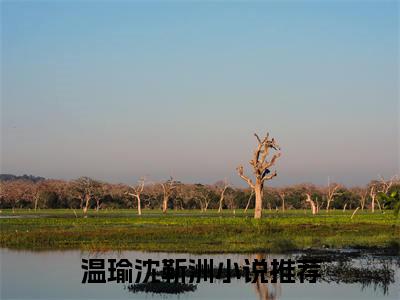 温瑜沈靳洲(温瑜沈靳洲小说)全文免费阅读无弹窗大结局_(温瑜沈靳洲小说免费阅读全文大结局)最新章节列表_笔趣阁（温瑜沈靳洲小说）