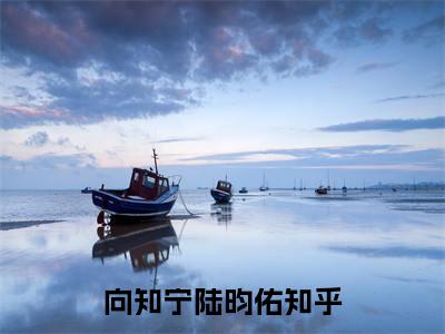 向知宁陆昀佑（向知宁陆昀佑）全文免费阅读无弹窗大结局-向知宁陆昀佑最新章节列表免费阅读