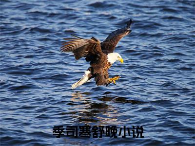 季司寒舒晚（季司寒舒晚）免费阅读全本资源-热门新书季司寒舒晚在线阅读