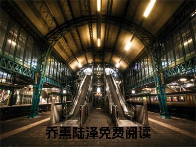 夫人失踪两年，陆总突然醒悟小说好看吗-夫人失踪两年，陆总突然醒悟乔熏陆泽热门小说大结局阅读