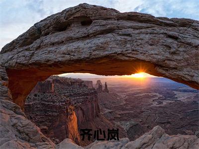 齐心岚是什么小说-（回归八零再就业）齐心岚无弹窗免费阅读大结局最新章节列表_笔趣阁