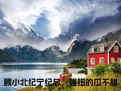顾小北纪宁小说纪总，强扭的瓜不甜全文免费阅读(顾小北纪宁已完结)