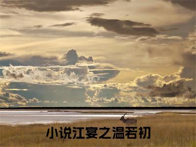 江宴之温若初（江宴之温若初）全文免费阅读无弹窗大结局-（江宴之温若初）江宴之温若初全文完结版阅读