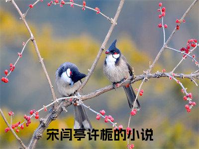 主角是宋闫亭许栀的小说-《宋闫亭许栀》完整章节阅读