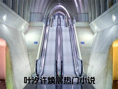 叶汐许焕宸小说（叶汐许焕宸）全文免费阅读_叶汐许焕宸小说精彩在线赏析