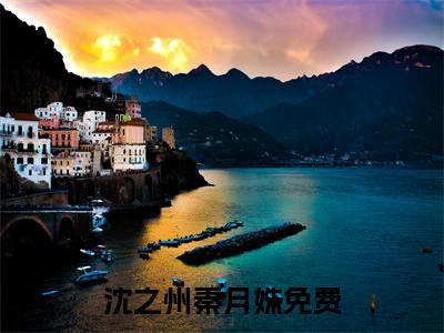 沈之州秦月姝（沈之州秦月姝）小说免费阅读完结版-沈之州秦月姝小说全文免费阅读