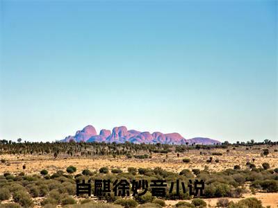 肖麒徐妙音（肖麒徐妙音）小说全文免费阅读无弹窗-肖麒徐妙音全章节在线阅读