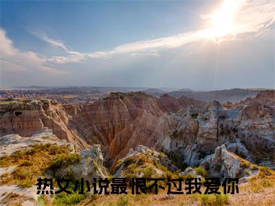 苏晗沈毅大结局全文免费阅读最新章节_最恨不过我爱你大结局