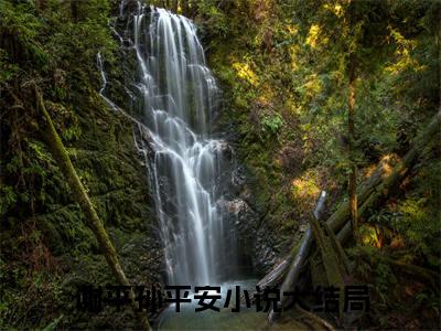 A级通缉犯说抓就抓(谢平孙平安)全文免费阅读无弹窗大结局_A级通缉犯说抓就抓最新章节列表_笔趣阁（谢平孙平安）