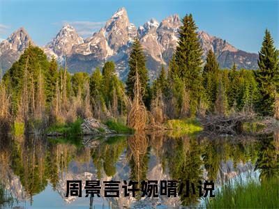 周景言许婉晴(周景言许婉晴)全文免费阅读无弹窗大结局_周景言许婉晴章节列表