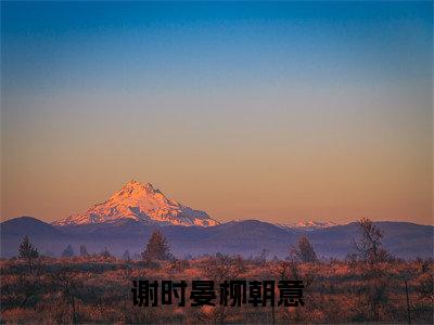 谢时晏柳朝意(谢时晏柳朝意)全文免费阅读无弹窗_(谢时晏柳朝意)谢时晏柳朝意最新章节列表笔趣阁（谢时晏柳朝意）