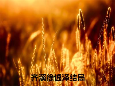 主角为齐溪徐逸泽的小说（齐溪徐逸泽）无弹窗大结局-齐溪徐逸泽最新小说全文阅读最新章节列表_笔趣阁