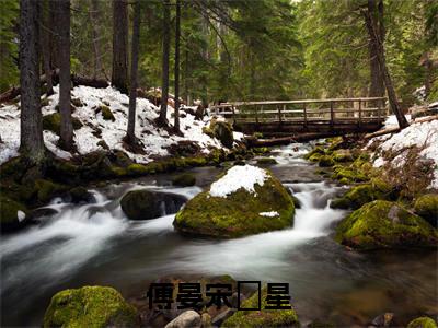 傅晏宋婠星（傅晏宋婠星）全文免费阅读无弹窗大结局_傅晏宋婠星全文免费阅读